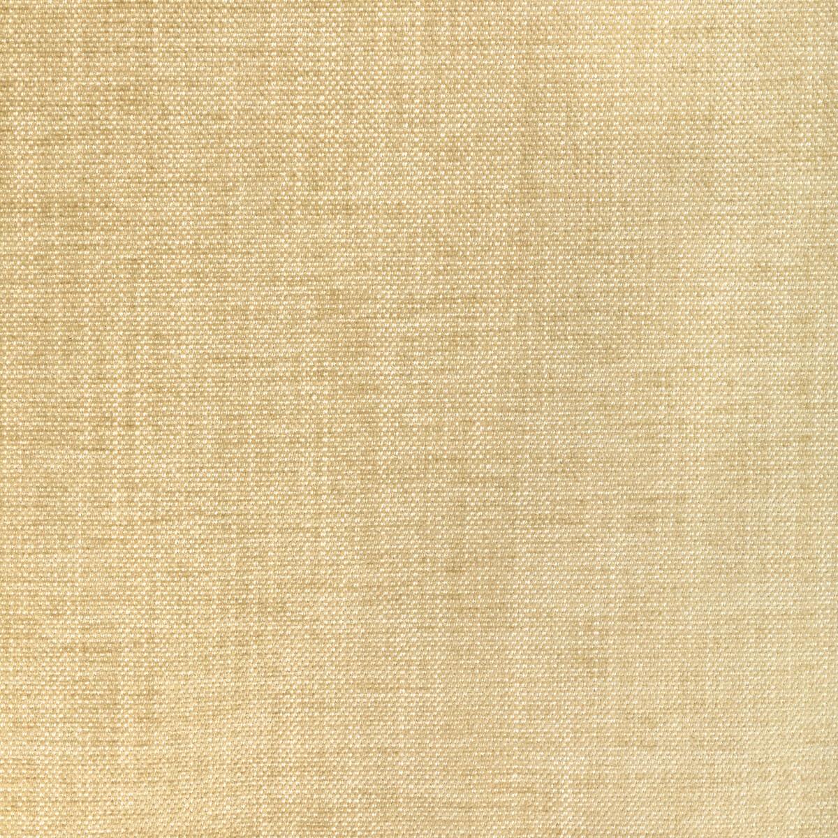 Kravet 36650 1116 Fabric