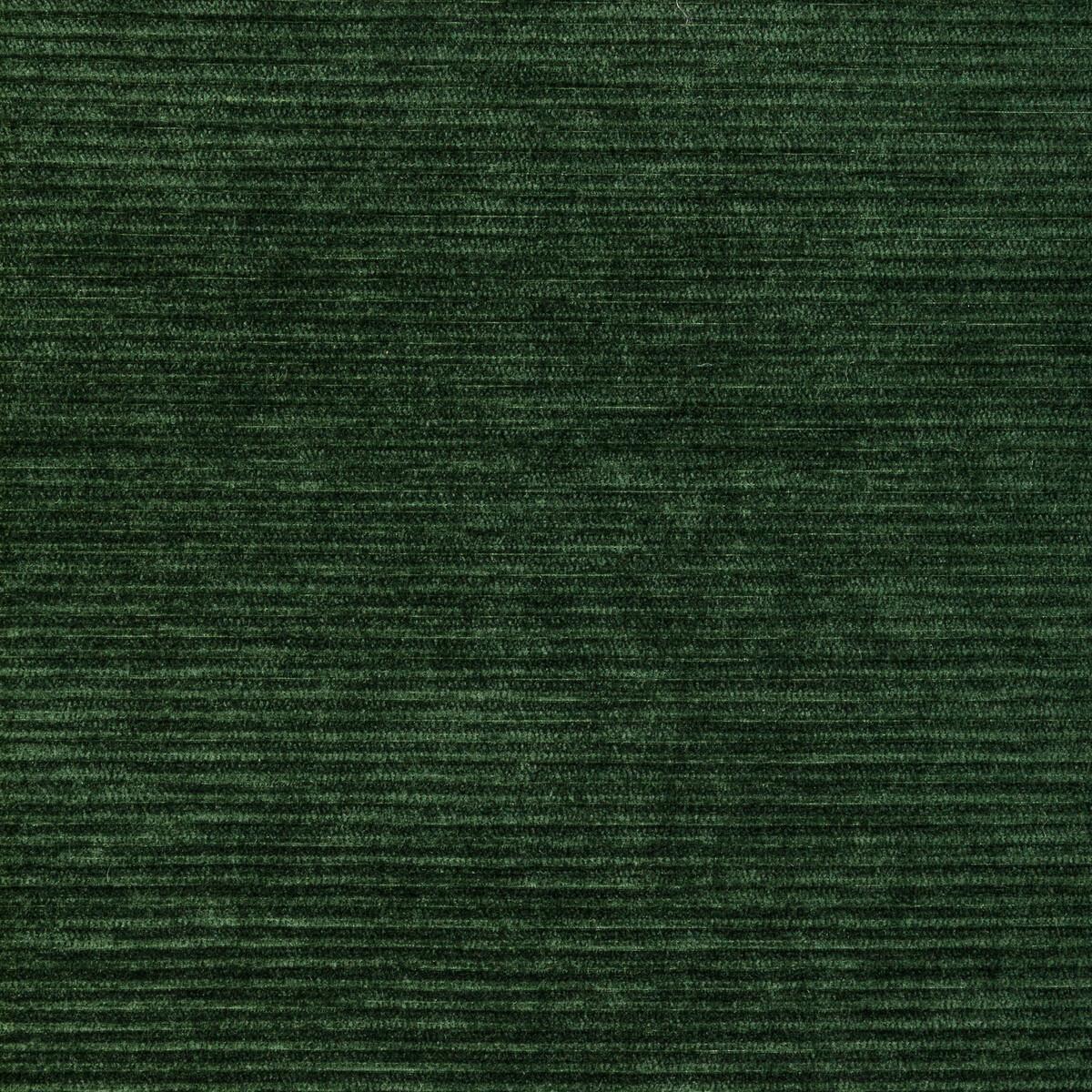 Kravet 36651 3 Fabric