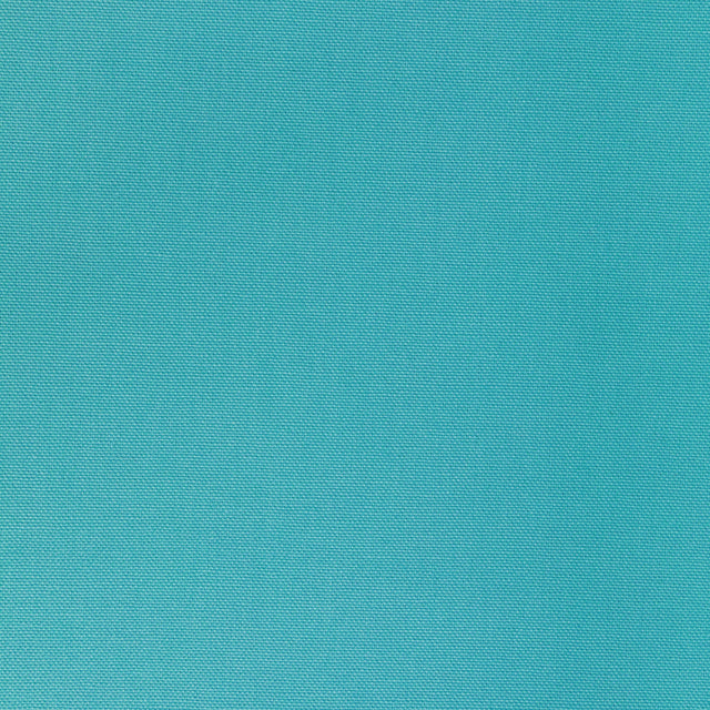 Kravet BASICS 36656 313 Fabric