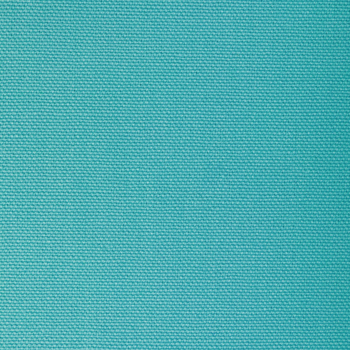 Kravet BASICS 36656 313 Fabric