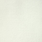 Kravet 36886 101 Fabric