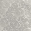 Kravet SILK COSMOS PLATINUM Drapery Fabric