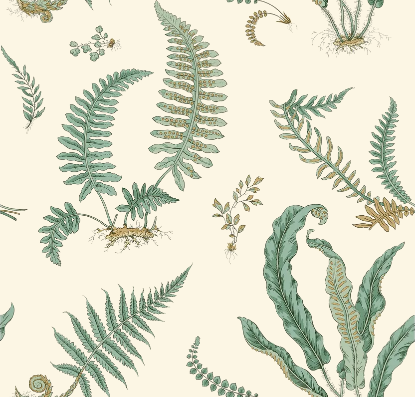 G P & J Baker FERNS VERDIGRIS Wallpaper