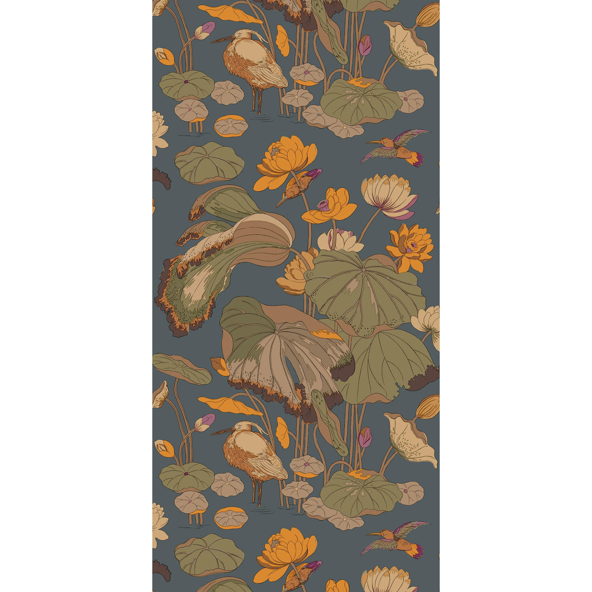 G P & J Baker NYMPHEUS SUNSET Wallpaper