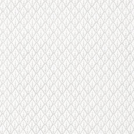 Kravet DORSO PORCINI Fabric