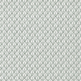 Kravet DORSO PEWTER Fabric