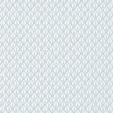 Kravet DORSO MIST Fabric