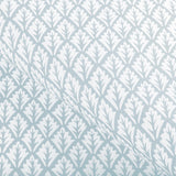 Kravet DORSO MIST Fabric