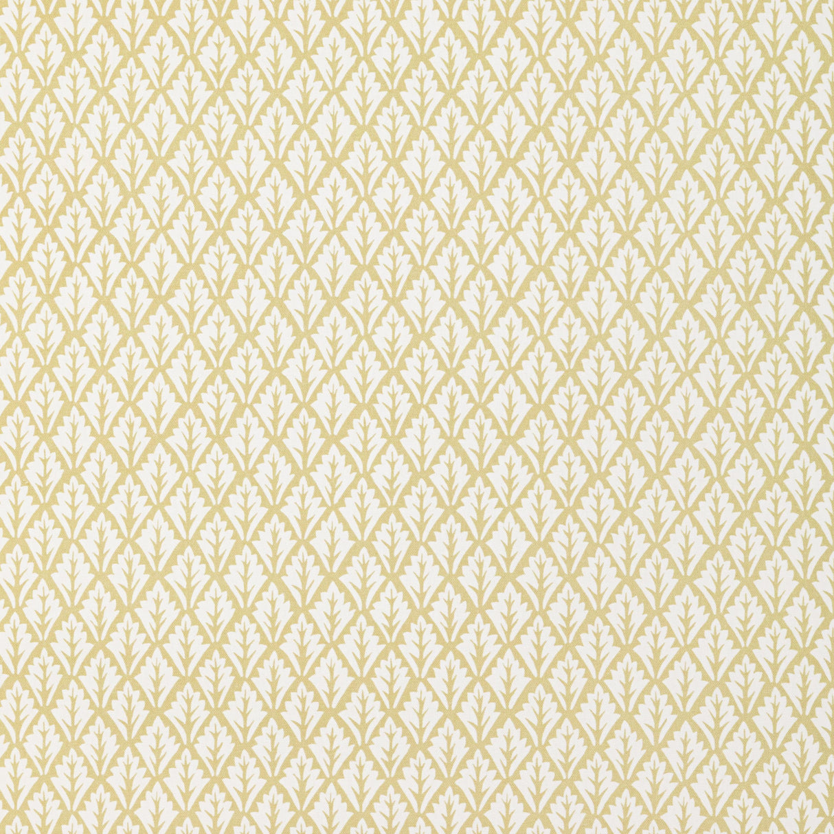 Kravet DORSO MAIZE Fabric
