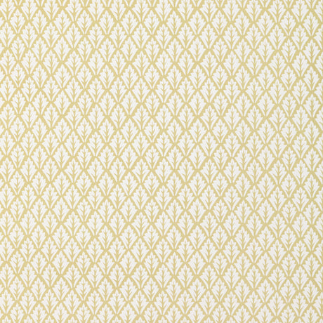 Kravet DORSO MAIZE Fabric