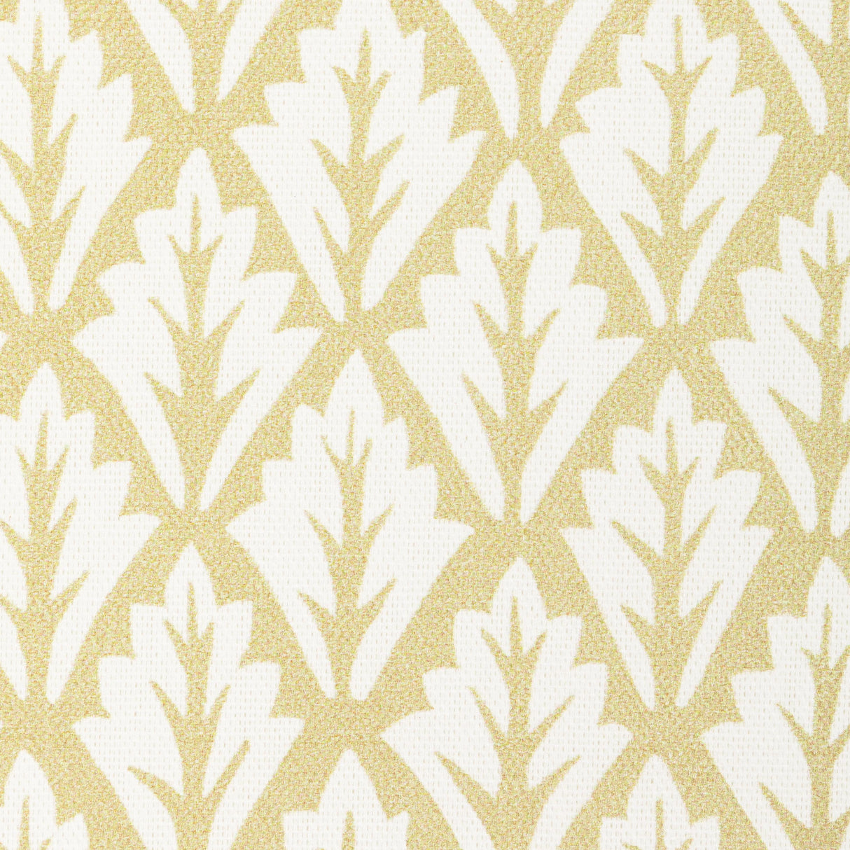 Kravet DORSO MAIZE Fabric