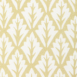 Kravet DORSO MAIZE Fabric