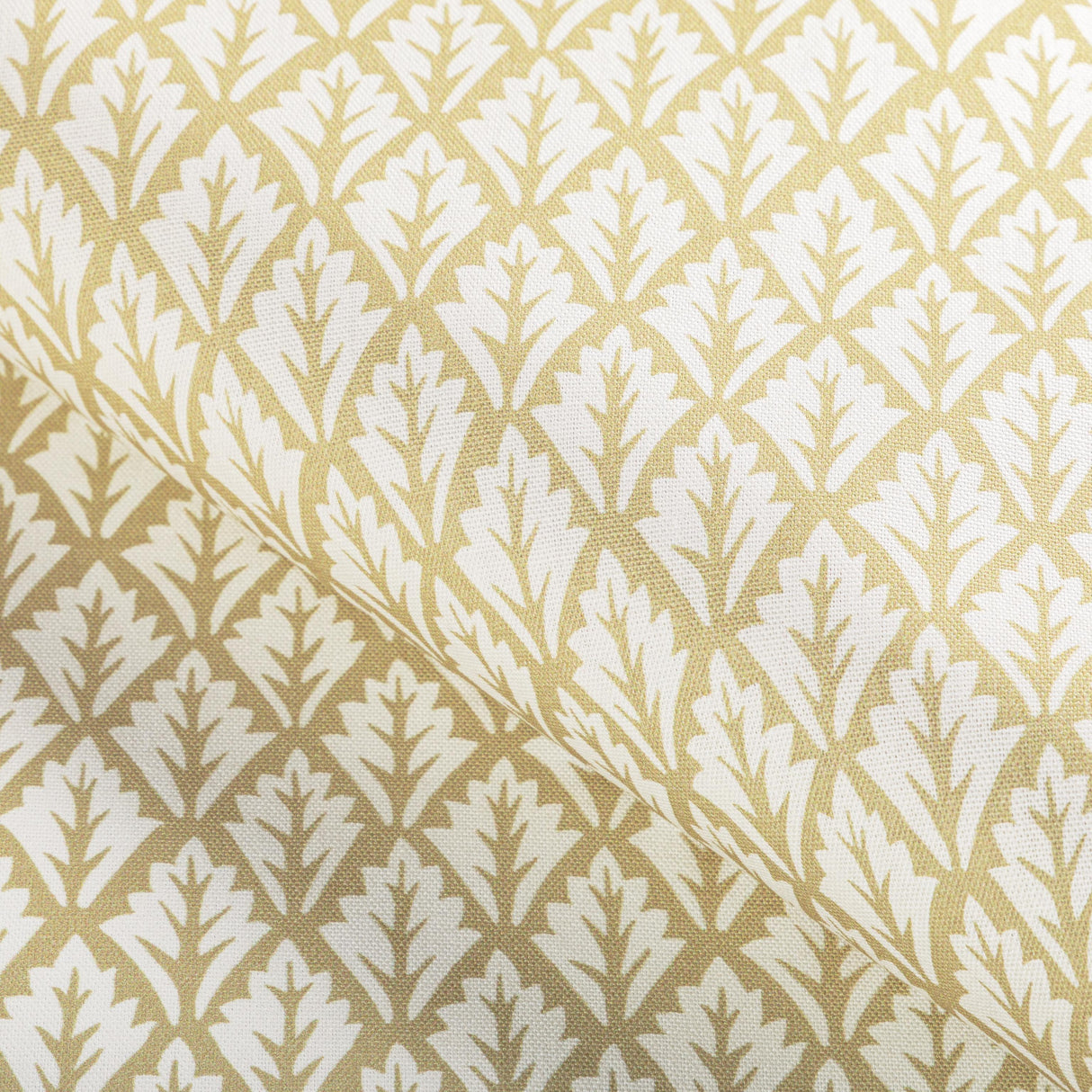 Kravet DORSO MAIZE Fabric