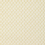 Kravet DORSO MAIZE Fabric