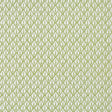 Kravet DORSO OLIVE Fabric