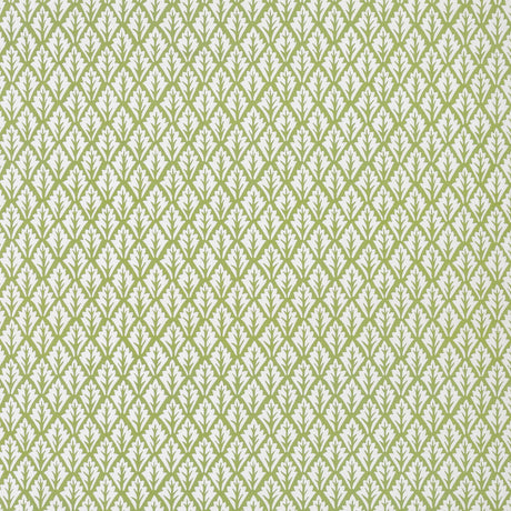 Kravet DORSO OLIVE Fabric