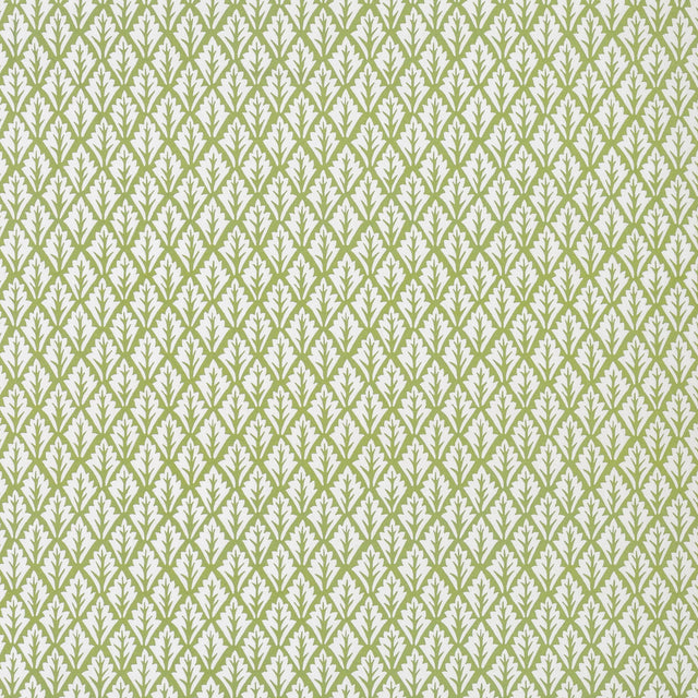 Kravet DORSO OLIVE Fabric