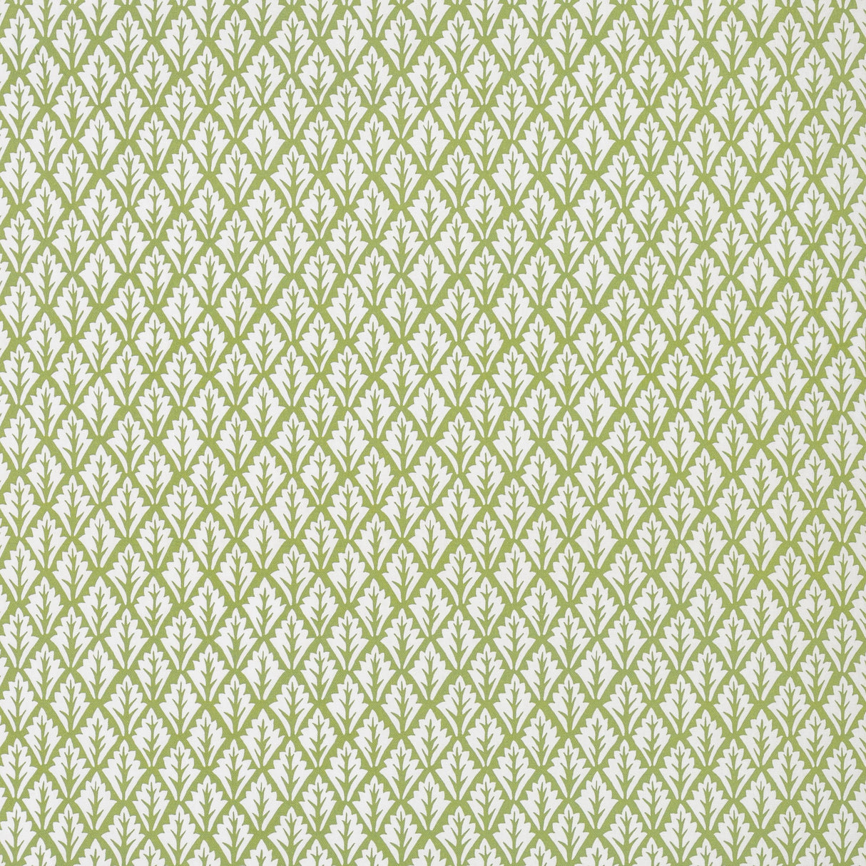 Kravet DORSO OLIVE Fabric
