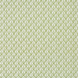 Kravet DORSO OLIVE Fabric