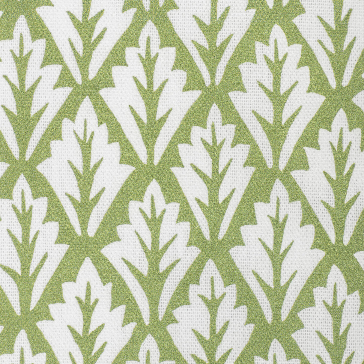 Kravet DORSO OLIVE Fabric
