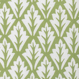 Kravet DORSO OLIVE Fabric