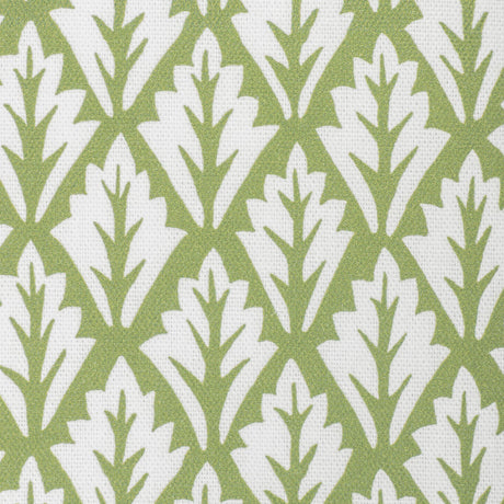 Kravet DORSO OLIVE Fabric
