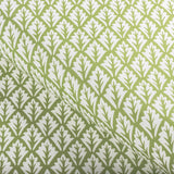 Kravet DORSO OLIVE Fabric