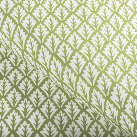 Kravet DORSO OLIVE Fabric