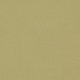 Clarke & Clarke LAZIO ANTIQUE Upholstery Fabric