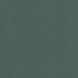 Clarke & Clarke LAZIO FOREST Upholstery Fabric