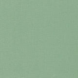 Clarke & Clarke LAZIO HERB Upholstery Fabric