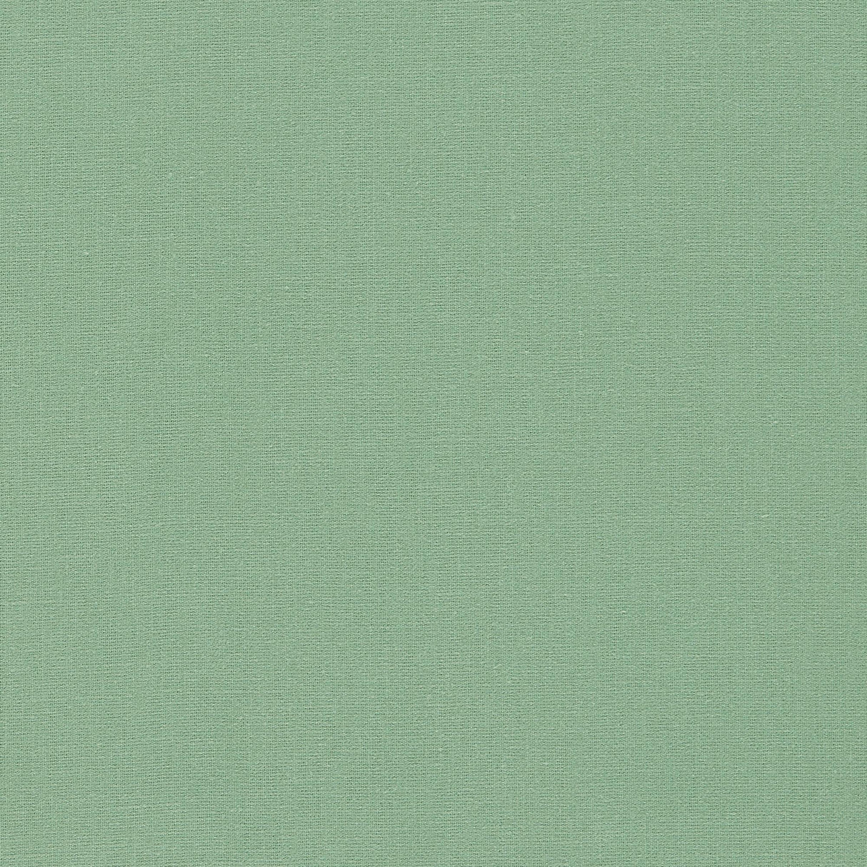 Clarke & Clarke LAZIO HERB Upholstery Fabric