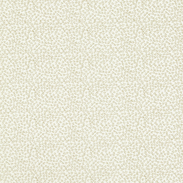 Clarke & Clarke RICAMO IVORY Drapery Fabric