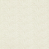 Clarke & Clarke RICAMO IVORY Drapery Fabric