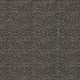 Clarke & Clarke RICAMO NERO Drapery Fabric