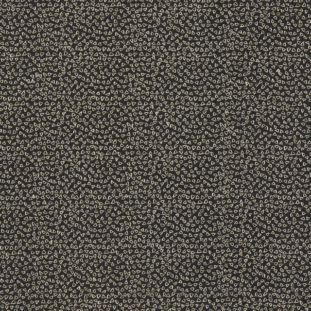 Clarke & Clarke RICAMO NERO Drapery Fabric
