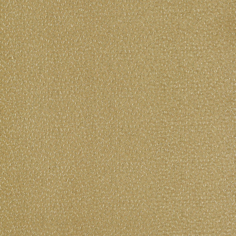 Clarke & Clarke RICAMO OCHRE Drapery Fabric