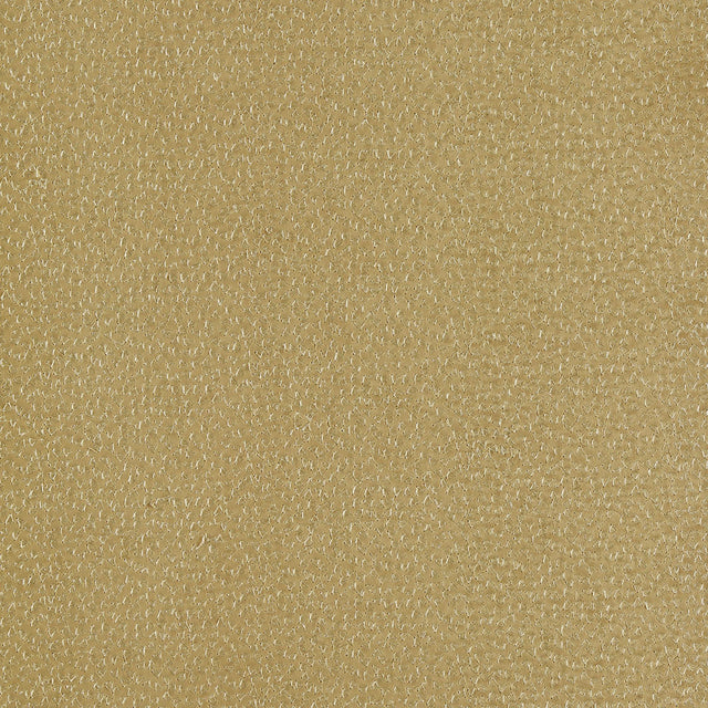 Clarke & Clarke RICAMO OCHRE Drapery Fabric
