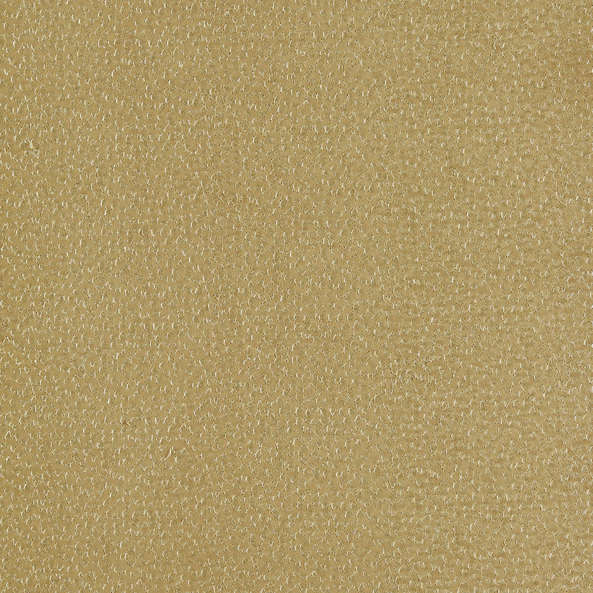 Clarke & Clarke RICAMO OCHRE Drapery Fabric