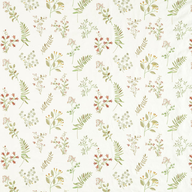 Clarke & Clarke BRIGITTE SPICE Drapery Fabric