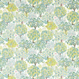 Clarke & Clarke TATTON MULTI Fabric