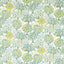 Clarke & Clarke TATTON MULTI Fabric