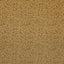 Clarke & Clarke ASTRAL GOLD Upholstery Fabric