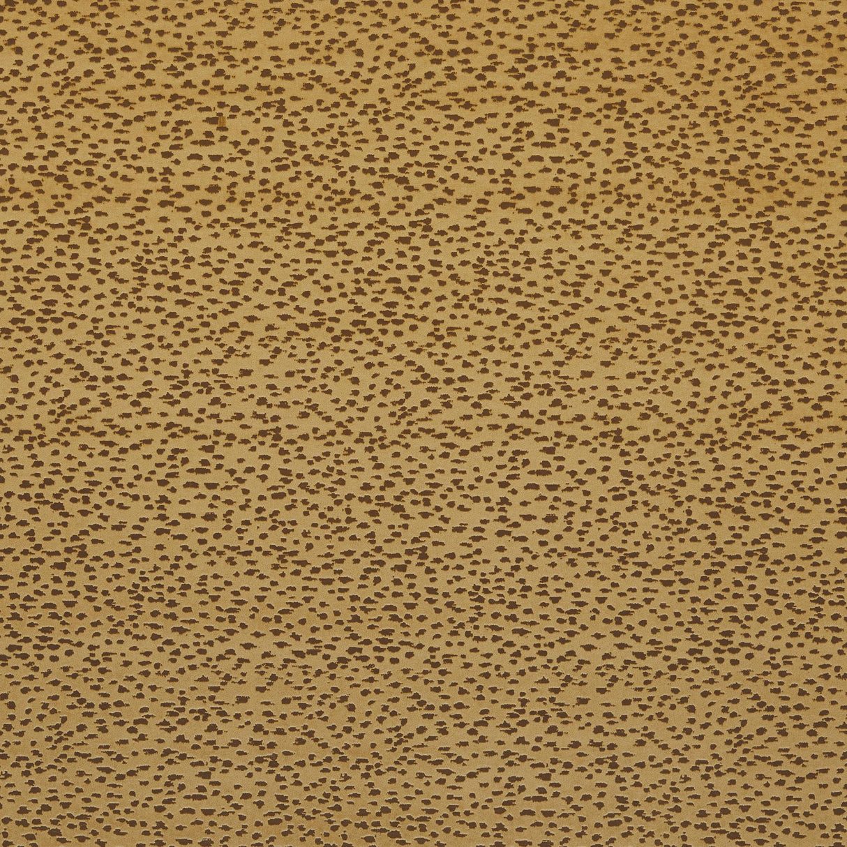 Clarke & Clarke ASTRAL GOLD Upholstery Fabric