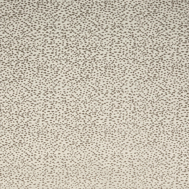 Clarke & Clarke ASTRAL STONE Upholstery Fabric