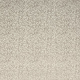 Clarke & Clarke ASTRAL STONE Upholstery Fabric