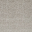 Clarke & Clarke ASTRAL TAUPE Upholstery Fabric