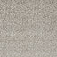 Clarke & Clarke ASTRAL TAUPE Upholstery Fabric