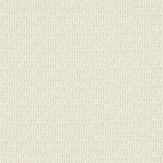 Clarke & Clarke MALONE LINEN Upholstery Fabric