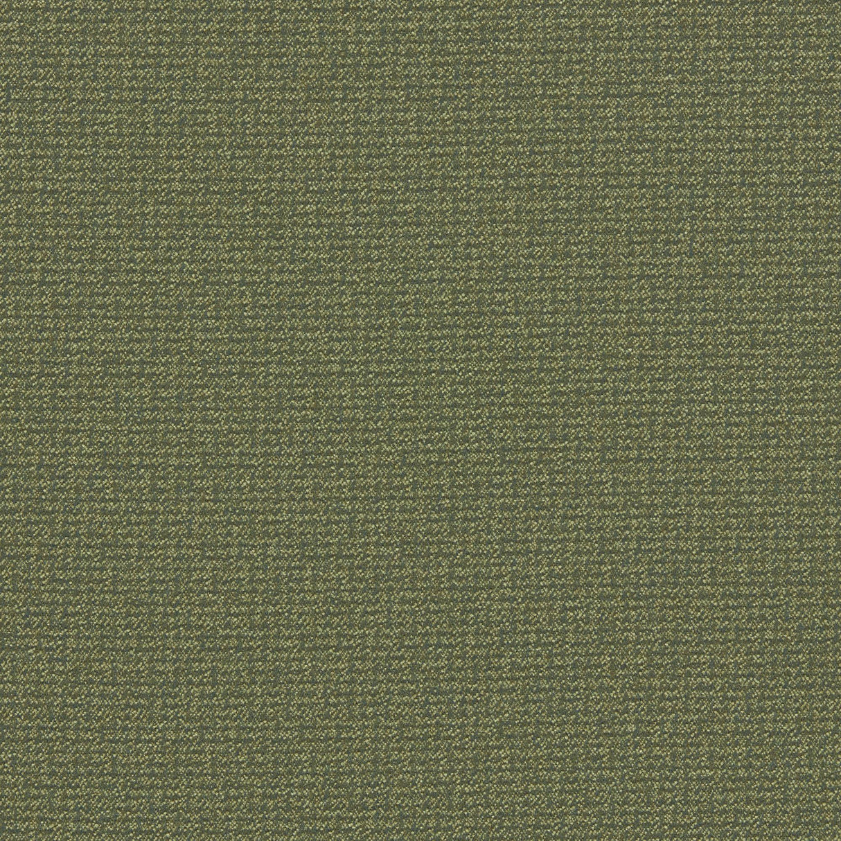 Clarke & Clarke MALONE MOSS Upholstery Fabric